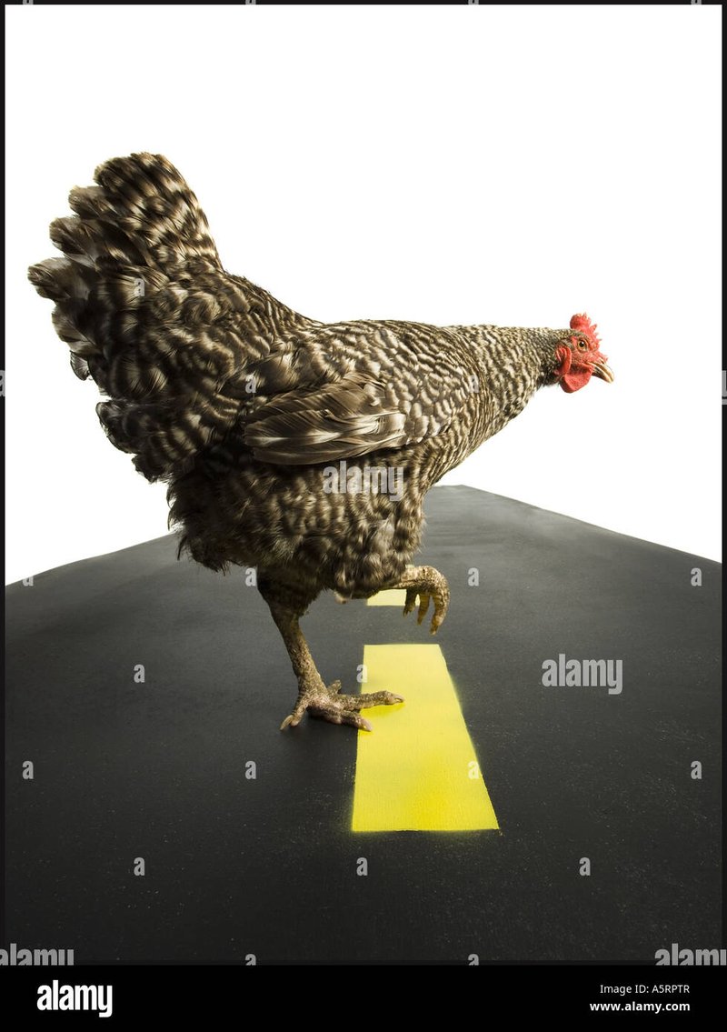 Best chicken road in Spain