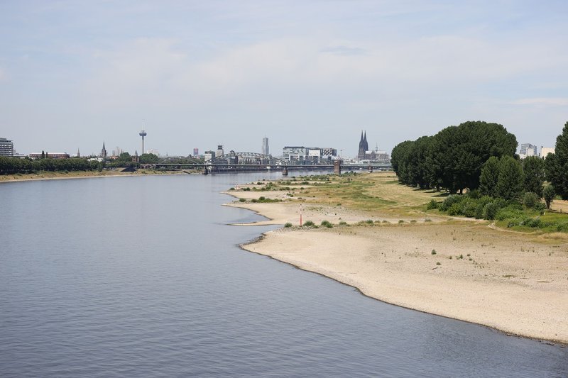 Rioace Deutschland: Die besten Bonuscodes und Freispiele im Jahr 2024